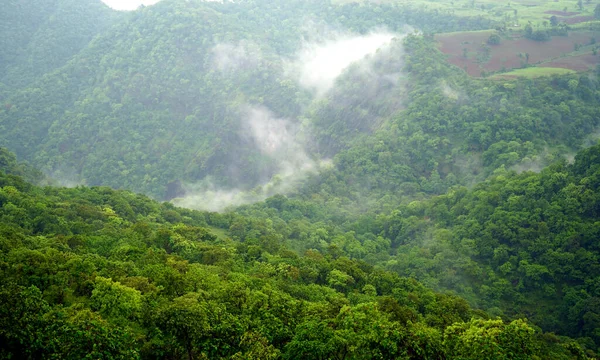 Grüner Bergwald Grüner Baumwald Hintergrund — Stockfoto