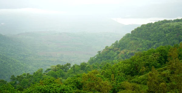 Grüner Bergwald Grüner Baumwald Hintergrund — Stockfoto