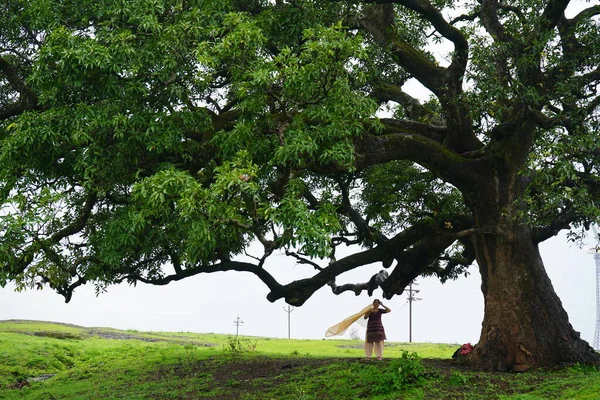 Γυναίκα Κάτω Από Μεγάλο Δέντρο Μάνγκο Και Απολαμβάνοντας Φύση — Φωτογραφία Αρχείου