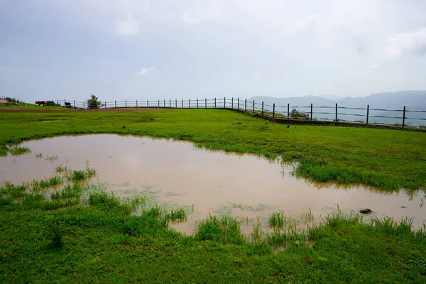 Sommer Grünes Ländliches Teichwasser — Stockfoto