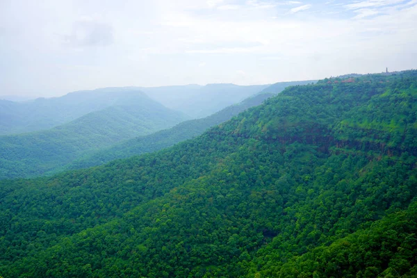 Grüner Bergwald Grüner Baumwald Hintergrund — Stockfoto