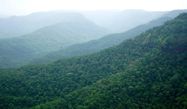 Grüner Bergwald Grüner Baumwald Hintergrund — Stockfoto