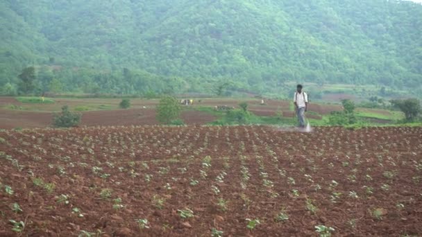 Chikhaldara Maharashtra India Juni 2020 Niet Geïdentificeerde Indiase Boer Werkt — Stockvideo