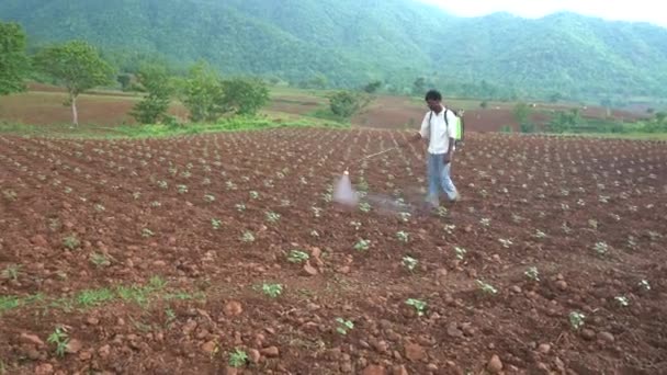 Chikhaldara Maharashtra India Giugno 2020 Agricoltore Indiano Non Identificato Che — Video Stock