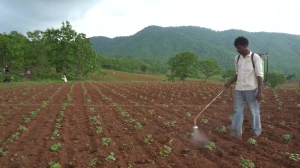 Chikhaldara Maharashtra India Červen 2020 Neznámý Indický Zemědělec Pracující Polní — Stock video