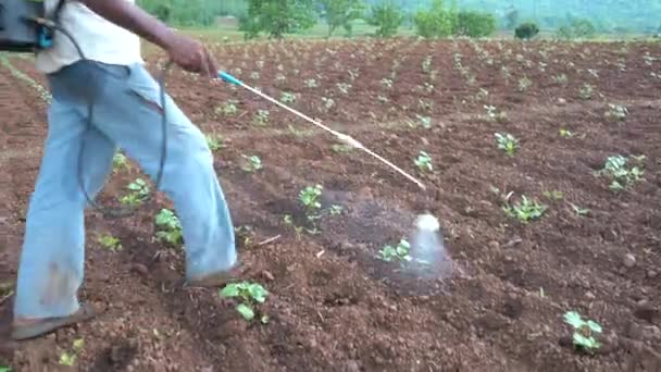 Chikhaldara Maharashtra Índia Junho 2020 Agricultor Indiano Não Identificado Trabalhando — Vídeo de Stock