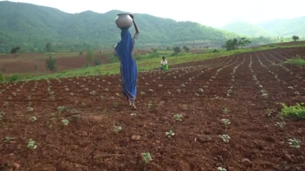 Chikhaldara Maharashtra India Junio 2020 Agricultor Indio Identificado Que Trabaja — Vídeos de Stock