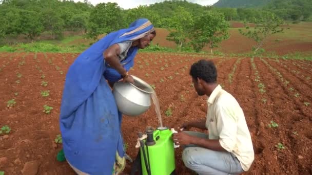 Chikhaldara Maharashtra Índia Junho 2020 Agricultor Indiano Não Identificado Trabalhando — Vídeo de Stock