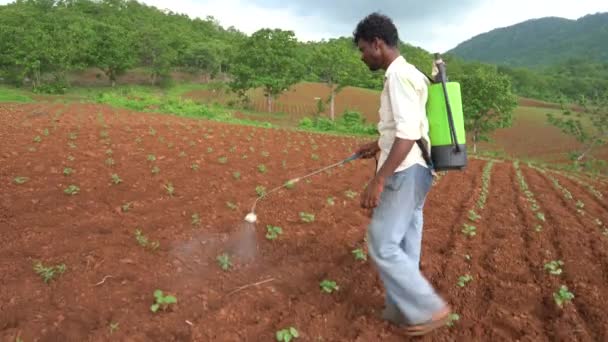 Chikhaldara Maharashtra India Červen 2020 Neznámý Indický Zemědělec Pracující Polní — Stock video