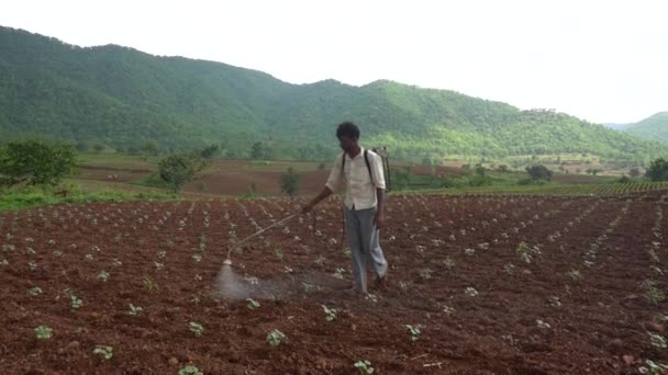 Chikhaldara Maharashtra India Juni 2020 Niet Geïdentificeerde Indiase Boer Werkt — Stockvideo