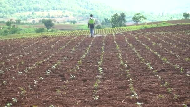 Chikhaldara Maharashtra India Juni 2020 Niet Geïdentificeerde Indiase Boer Werkt — Stockvideo