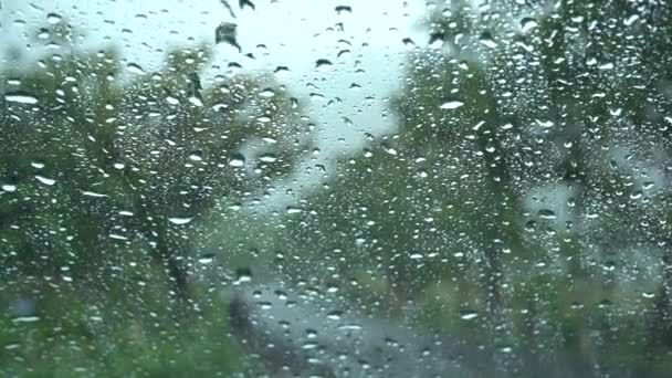 雨は窓ガラスに背景として落ちる — ストック動画