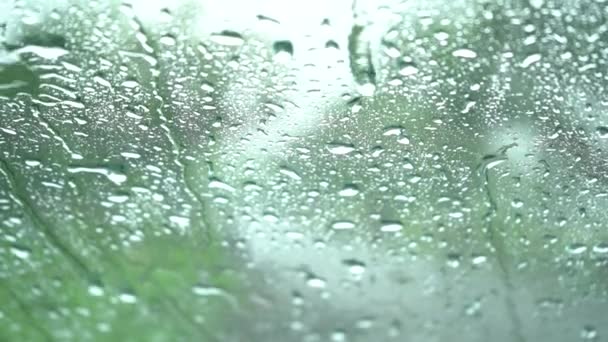 Gotas Lluvia Sobre Vidrio Ventana Como Fondo — Vídeos de Stock