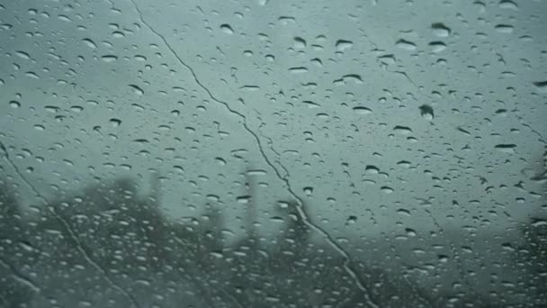 雨は窓ガラスに背景として落ちる — ストック動画