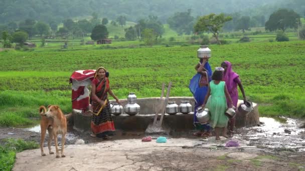 Chikhaldara Indie Června 2020 Neidentifikované Indické Venkovské Ženy Nosí Vodu — Stock video