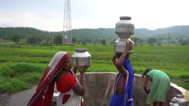 Chikhaldara インド 2020年6月29日 確認されていない農村部のインド人女性は マハラシュトラ州の農村部でよく 日常生活から伝統的なポットで頭の上に水を運びます — ストック動画