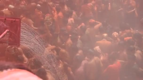 Vrindavan Inde Mars 2017 Une Veuve Indienne Célèbre Holi Fête — Video