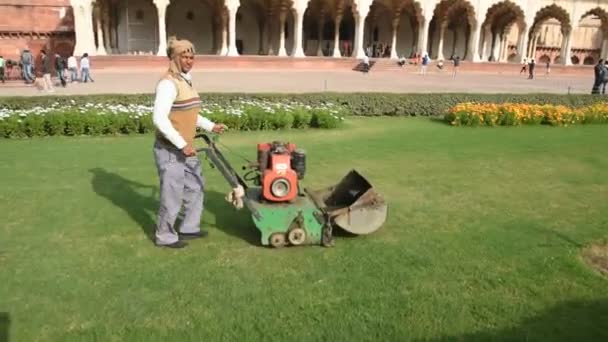 Agra India February 2018 Worker Clean Garden Red Fort Agra — Video Stock