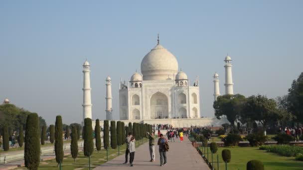 Agra India Febrero 2018 Turistas India Todo Mundo Visitan Taj — Vídeos de Stock