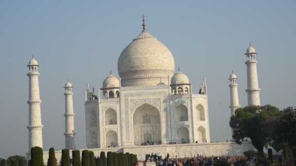インドのアグラにあるユネスコの世界遺産であるタージ マハルの眺め Taj Mahalは世界的に人気のある愛のシンボルです — ストック動画