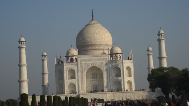 インドのアグラにあるユネスコの世界遺産であるタージ マハルの眺め Taj Mahalは世界的に人気のある愛のシンボルです — ストック動画