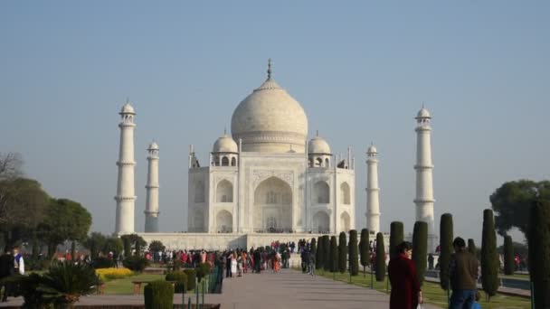 Agra India February 2018 Turisté Indie Celého Světa Navštíví Taj — Stock video