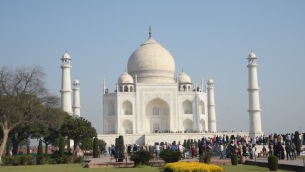 Agra Índia Fevereiro 2018 Turistas Índia Todo Mundo Visitam Taj — Vídeo de Stock