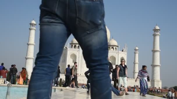 Agra India February 2018 Tourists India World Visit Taj Mahal — Stock Video