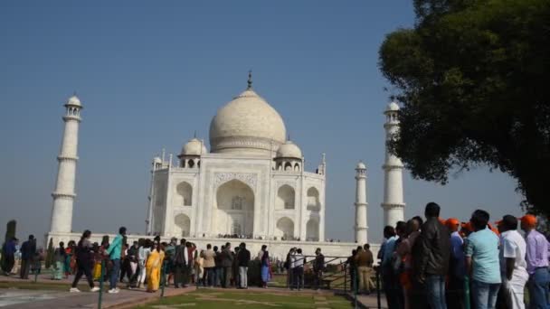 Agra India February 2018 Tourists India World Visit Taj Mahal — Stock Video