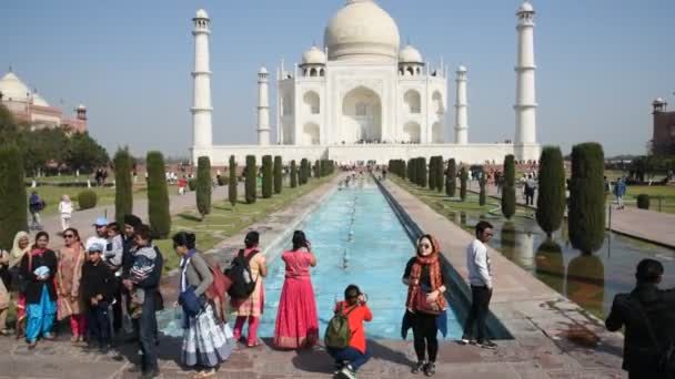 Agra India February 2018 Туристи Індії Всьому Світу Відвідують Тадж — стокове відео