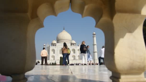 Agra India Ruari 2018 Turister Från Indien Och Runt Världen — Stockvideo