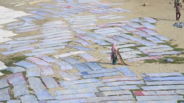 インド アグラ 2018年2月15日 確認されていない人々ヤヌマ川のほとりで暑い太陽の下で洗濯した後に布を乾かすインド — ストック動画