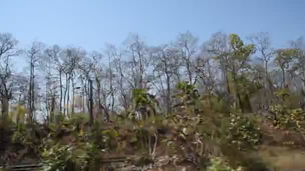 印度铁路轨道和景观 — 图库视频影像