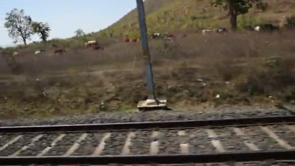 Ferrocarril India Paisaje — Vídeo de stock