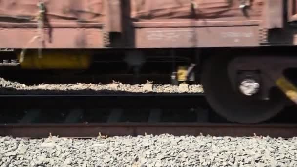 インド鉄道 旅客列車 鉄道で 窓から撃たれた — ストック動画