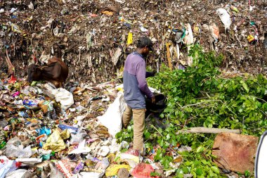 AMRAVATI, MAHARASHTRA, INDIA, October 12,  2020 : Municipal Corporation has arranged garbage collection van in the city for solid waste management. during the Lockdown , Covid-19 , corona virus.