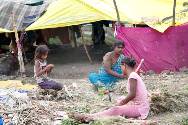 AMRAVATI, MAHARASHTRA, INDIA 2 Eylül 2020: Kulübesinin önündeki tanımlanamayan Hintli göçebe kadın insanlara satmak ve para kazanmak için geleneksel süpürge yapıyor.