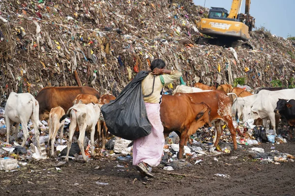 Mountain of garbage, large garbage pile, Pile of stink and toxic residue. These garbage come from urban areas, industrial areas.