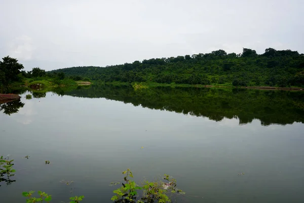 Озеро Пруд Лесу Индия — стоковое фото