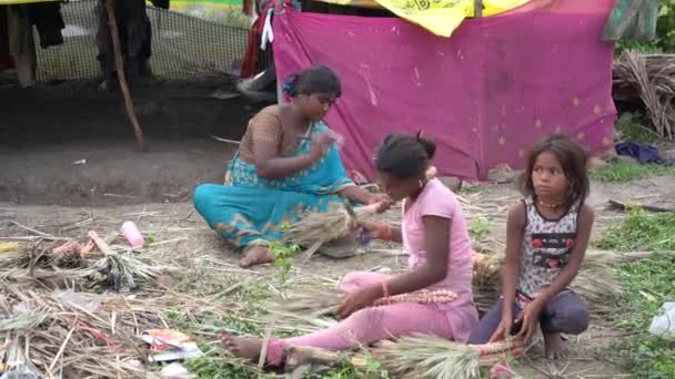 Amravati Maharashtra India September 2020 Unidentified Indian Nomadic Tribal Woman — 图库视频影像