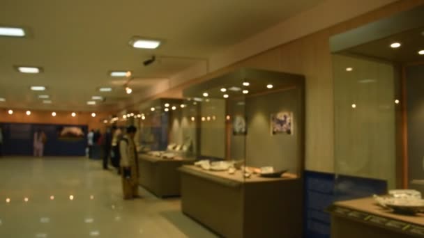 Delhi India January 2018 Туристи Відвідують Історичний Музей Кампусі Червоного — стокове відео