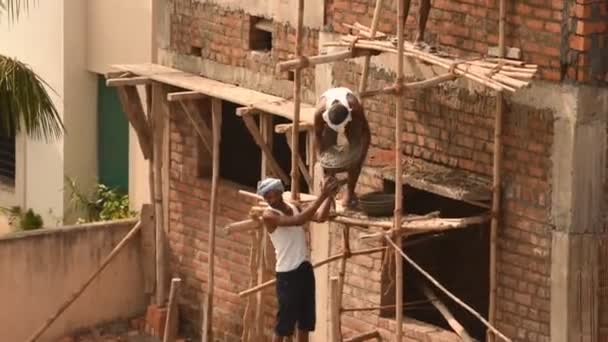 Mumbai Maharashtra India Diciembre 2019 Trabajadores Construcción Trabajando Una Obra — Vídeos de Stock