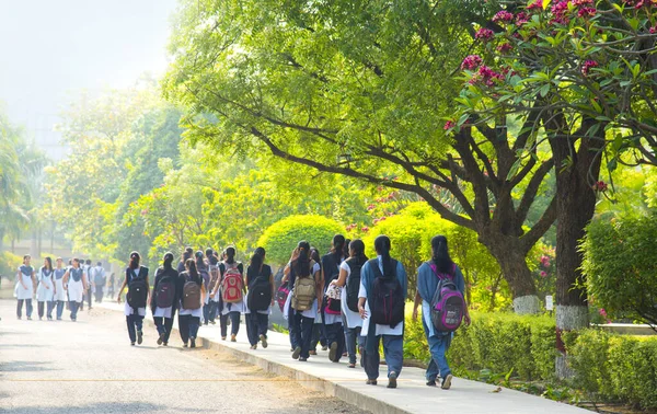 NAGPUR, INDIA - 9 Nisan 2016: Üniversite öğrencileri birlikte yürüyor ve kampüste konuşuyor.