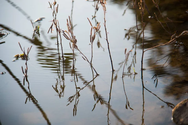 Reflektion Över Vattnet — Stockfoto