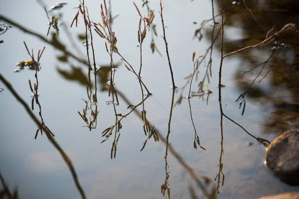 Reflektion Över Vattnet — Stockfoto