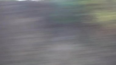 Hint tren yolu, Hint demiryolları. Yolcu treni, demiryolu ile. Pencereden çekilmiş..