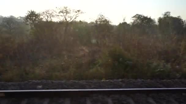 Индийская Железная Дорога Индийская Железная Дорога Пассажирским Поездом Выстрел Окна — стоковое видео