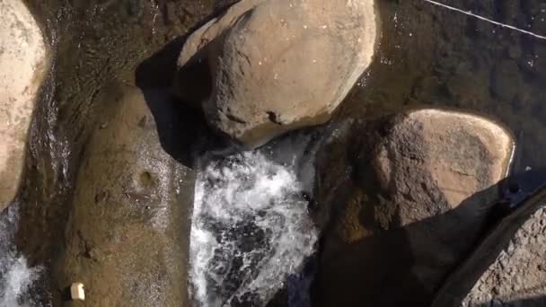 Лісова Річка Скелях Тече Вода Гірський Ліс Річковий Ландшафт — стокове відео