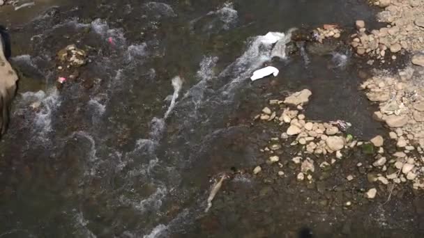 Лесная Река Скалах Водный Поток Горный Лесной Ландшафт — стоковое видео