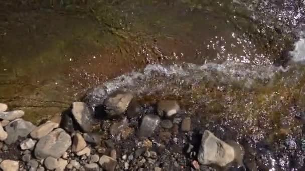 Лесная Река Скалах Водный Поток Горный Лесной Ландшафт — стоковое видео
